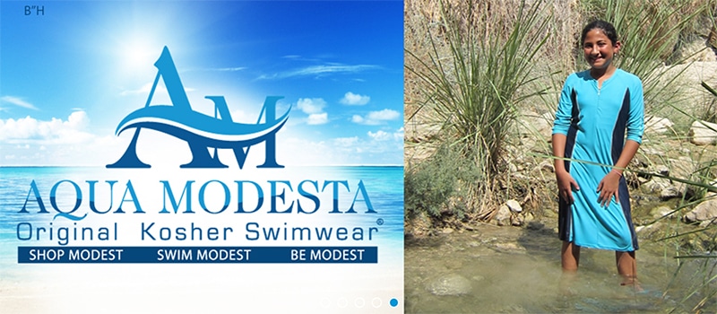 The Aqua Modesta home page. Screenshot
