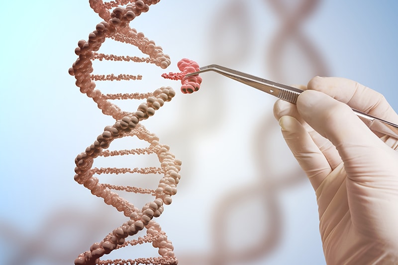 webRNS BIOETHICS CRISPR2 080317