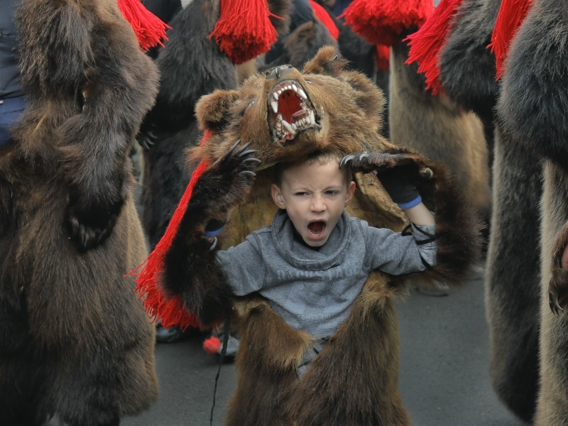AP Romania New Year bear