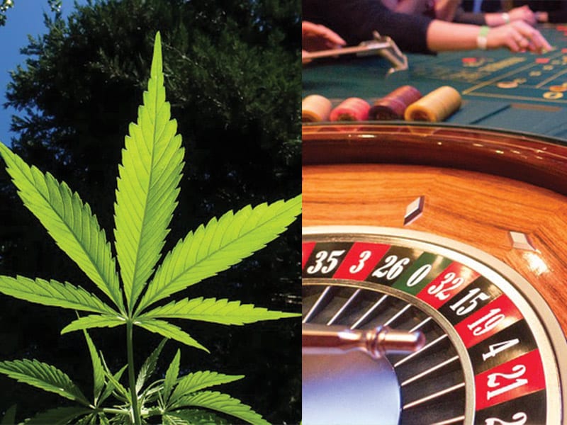 marijuana gambling