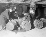prohibition agents