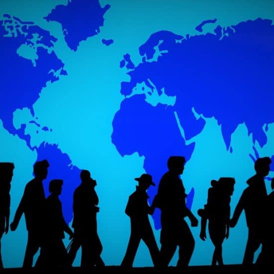 refugee graphic