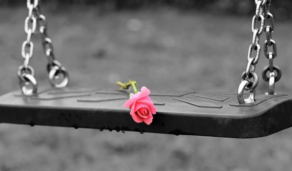pink rose on swing