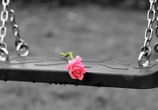 pink rose on swing