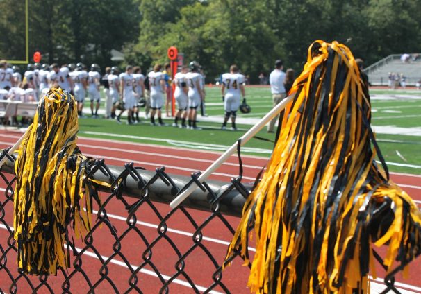 pompoms on fence