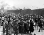 Hungarian Jews at Auschwitz