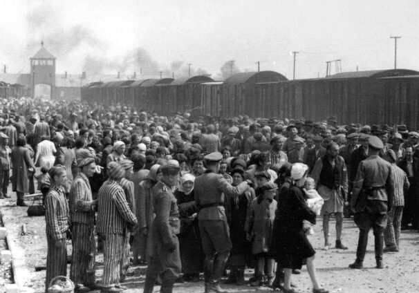 Hungarian Jews at Auschwitz