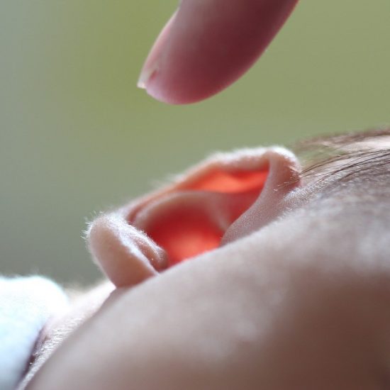 baby's ear