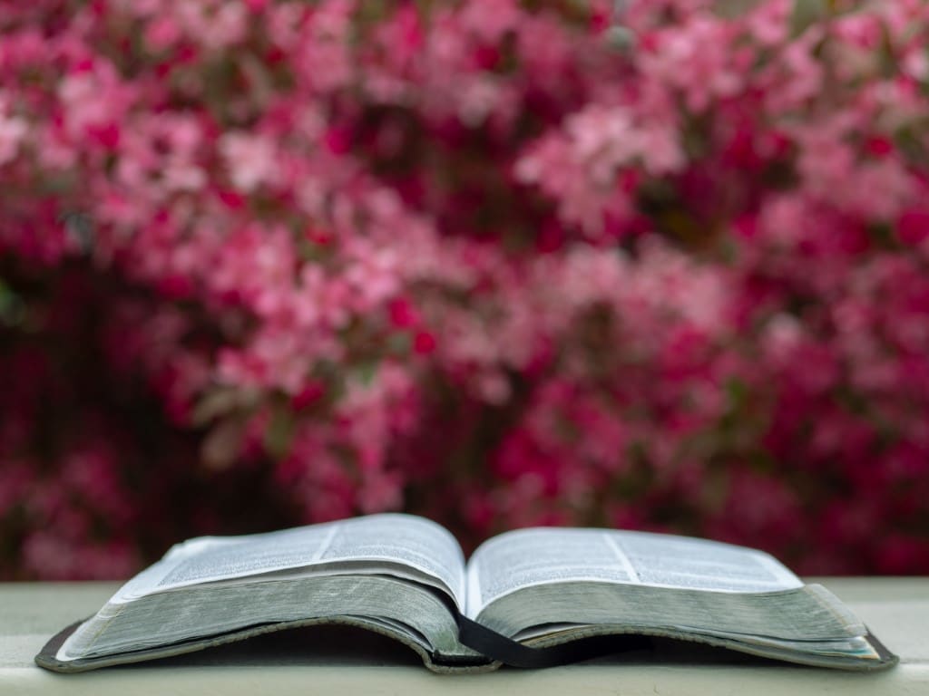 Bible in Spring