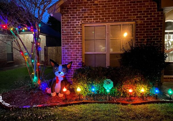 holiday lights in Louisiana