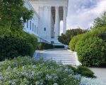 flowers at Supreme Court building
