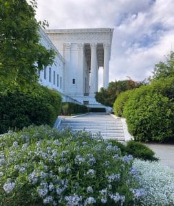 flowers at Supreme Court building