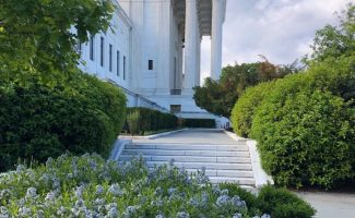flowers at Supreme Court building