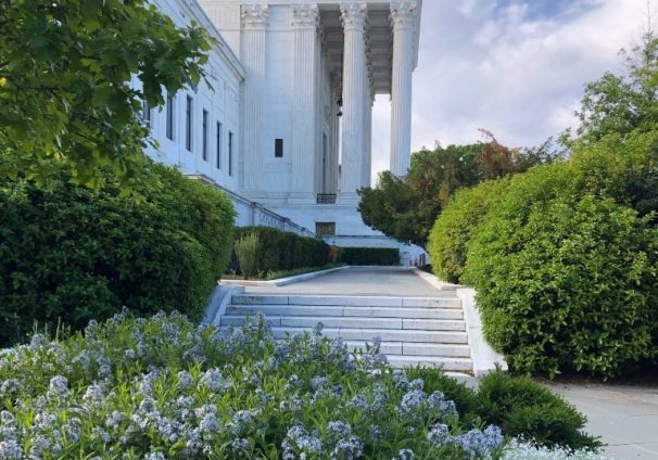 flowers at Supreme Court building