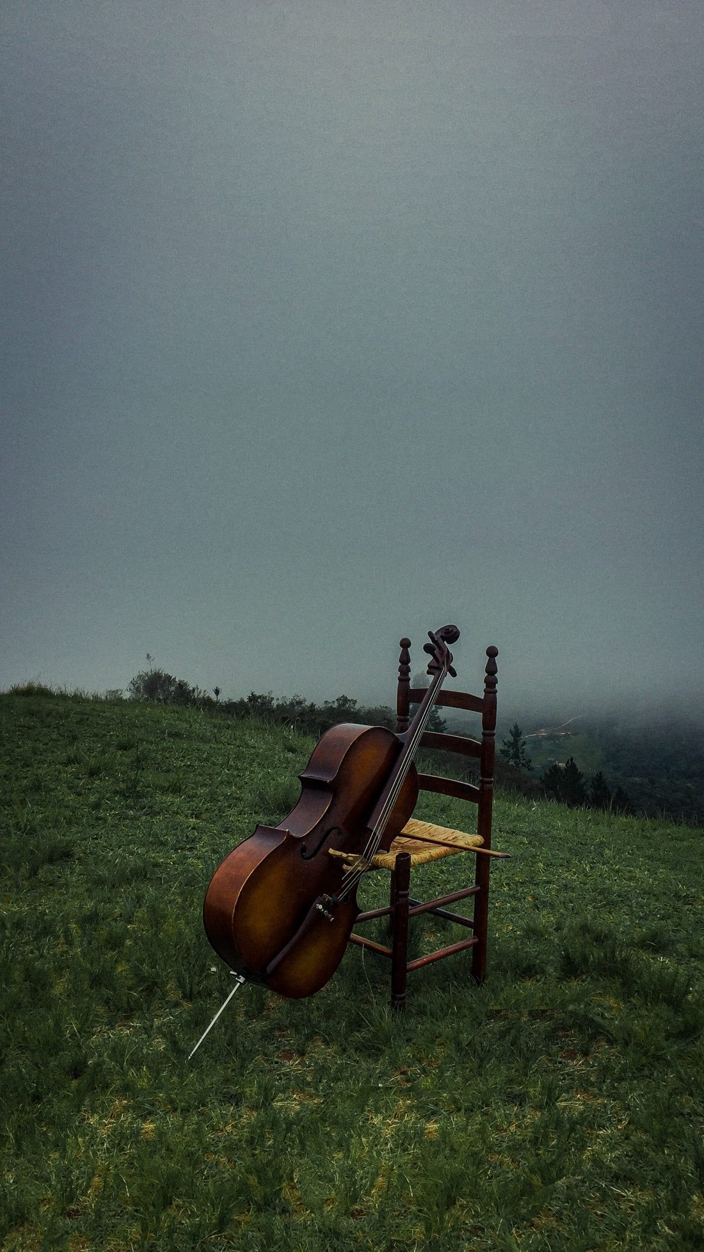 Playing the Cello - Word&Way