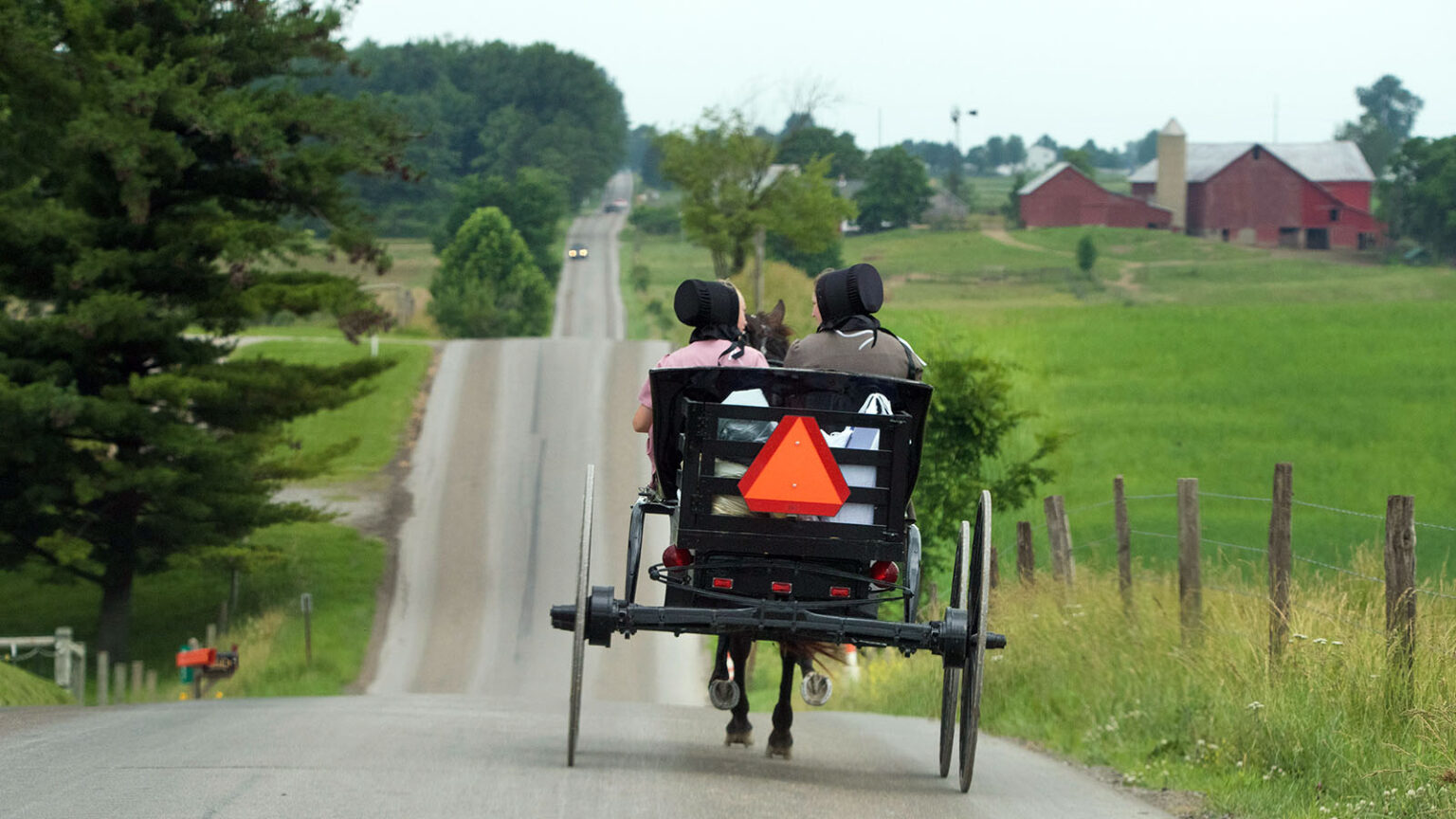 In a remote corner of Ohio, Harvard is helping the Amish thanks to a traffic ordinance