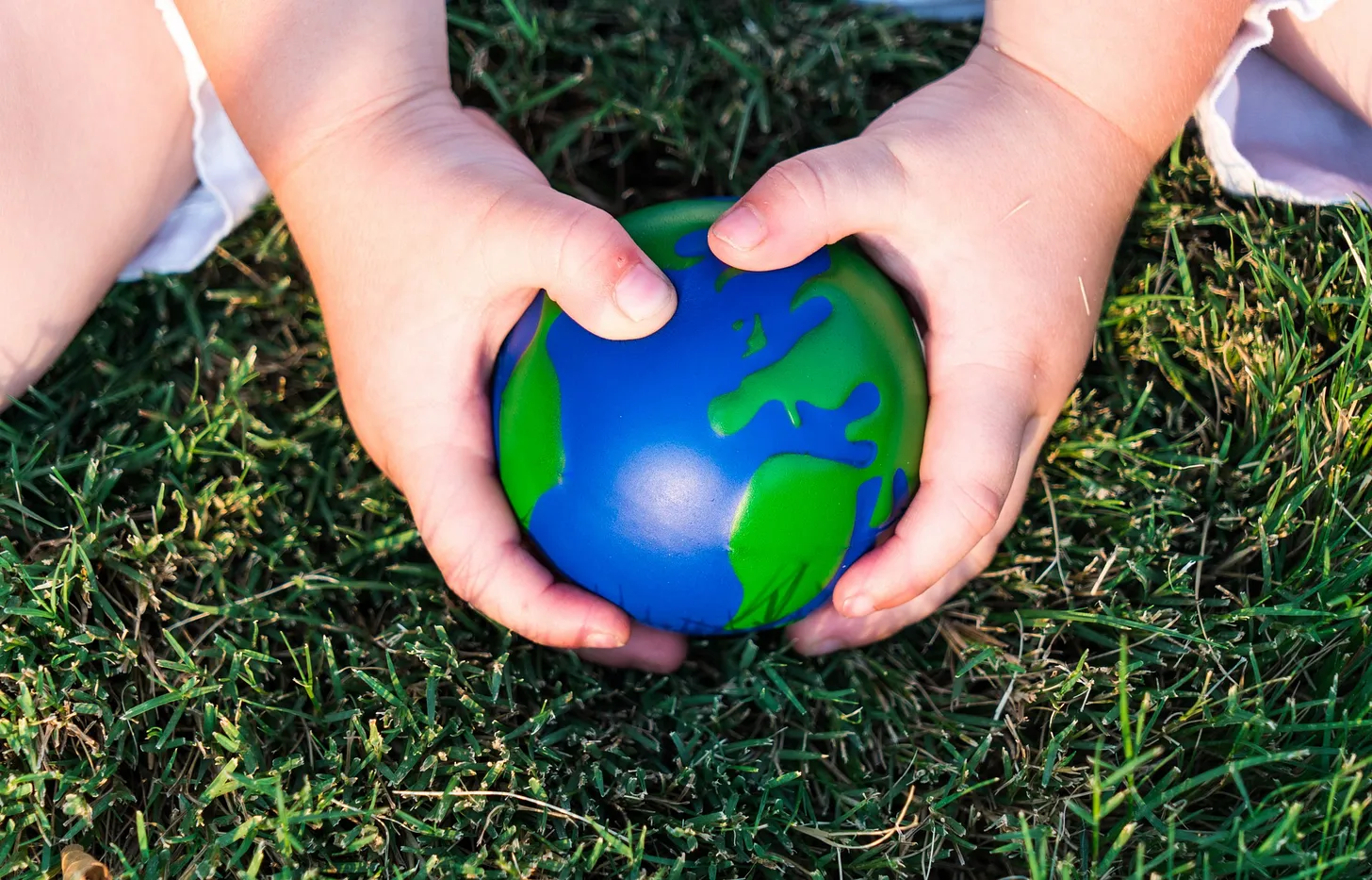 Seeking Faithful Stewardship in a Toxic Political Environment - Word&Way