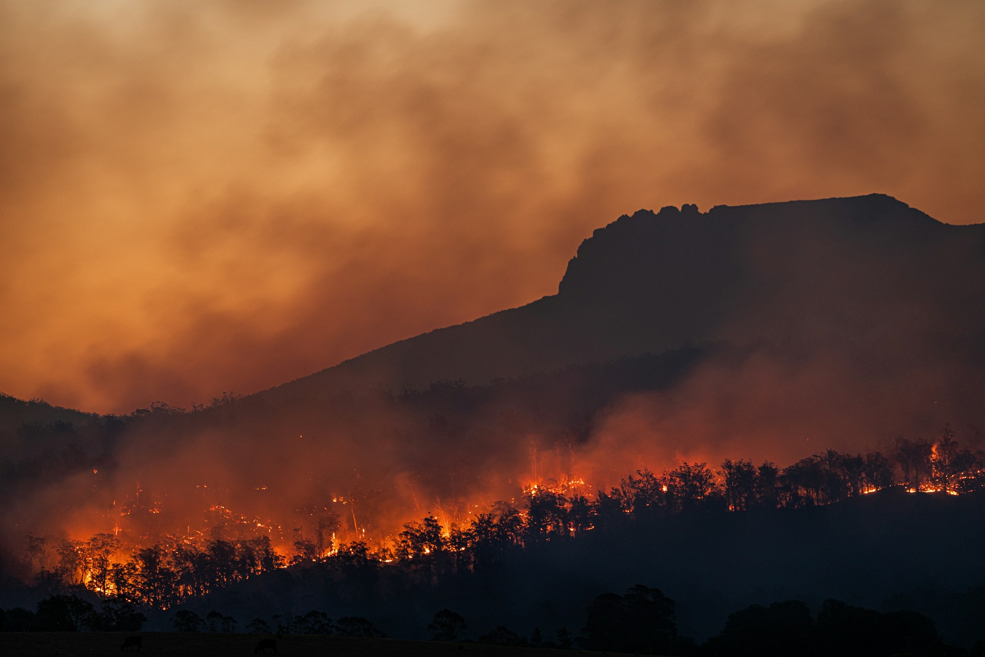 Susannah Crockford Traces How Protestant Themes Frame Discourse Around Climate Change
